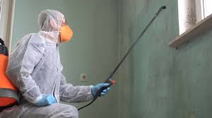 Best Residential Mold Inspection & Testing  in Franklin Park, IL